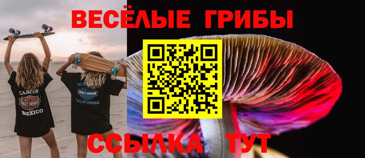 Псилоцибиновые грибы Psilocybine cubensis  Галлюциногенные грибы прущие грибы  Кинель  Вход с VPN 
