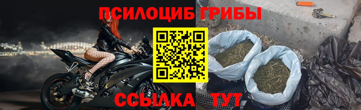 Галлюциногенные грибы MAGIC MUSHROOMS Кинель
